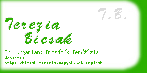 terezia bicsak business card